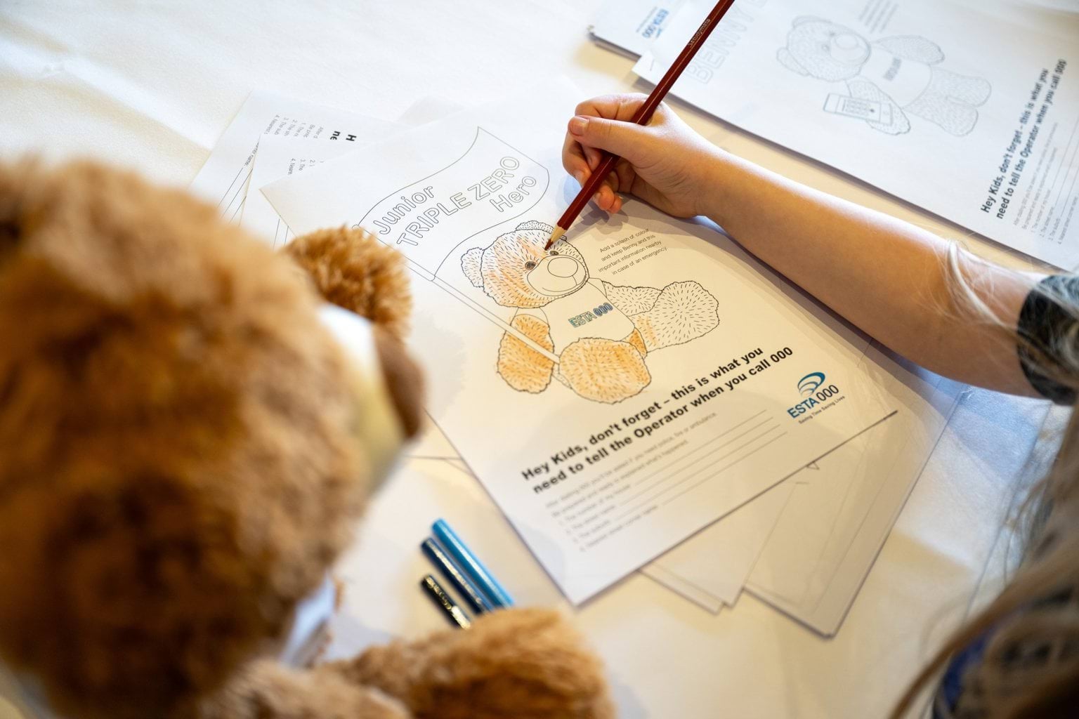 A child coloring in a colouring sheet of Benny the Bear