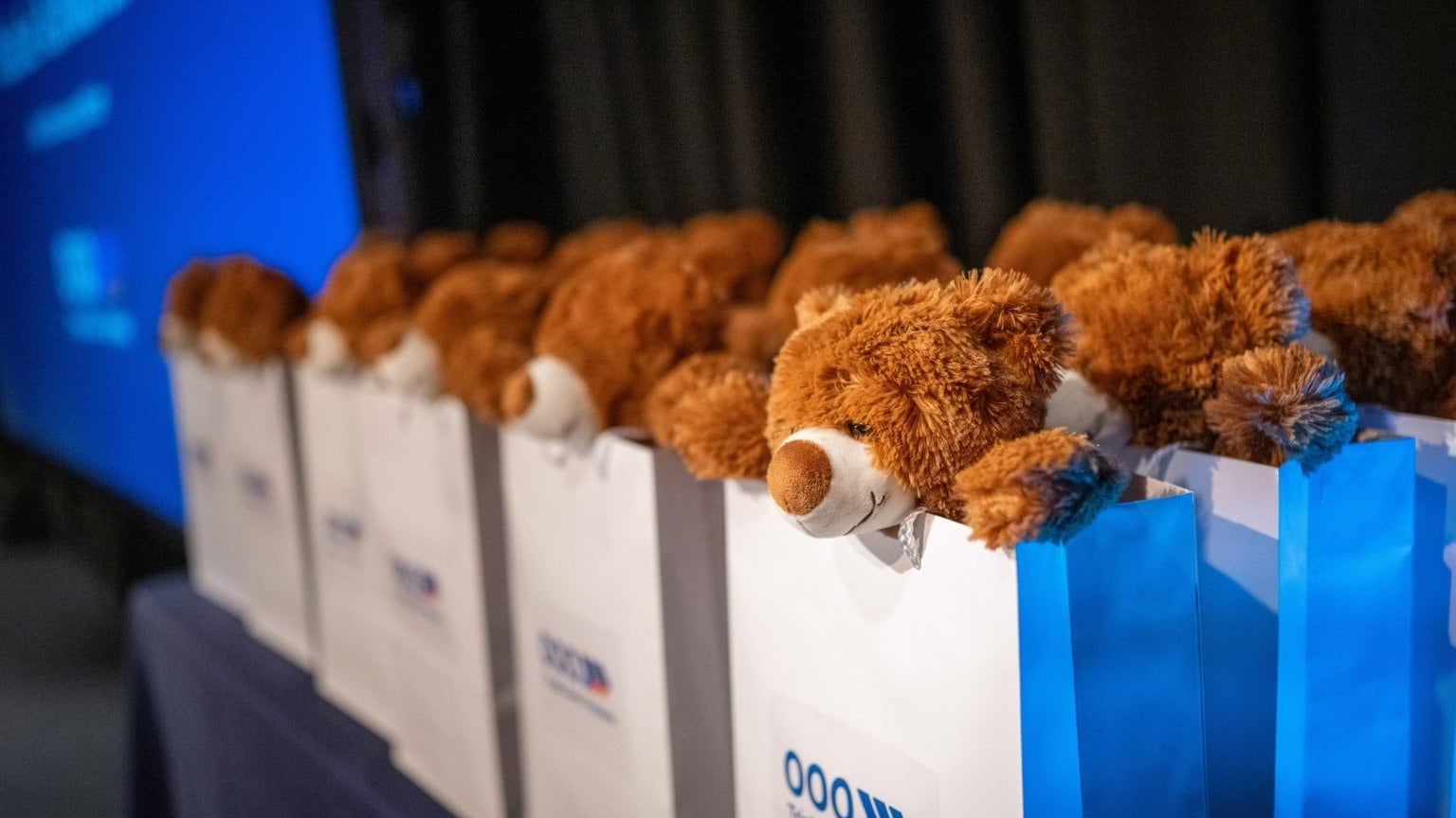 Benny the Bear sitting in the official showbag
